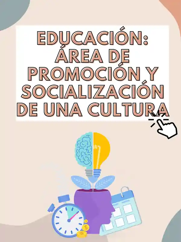 Educación: Área de Promoción y Socialización de una cultura